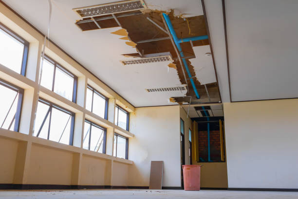Best 24/7 water damage repair  in Fris, CO