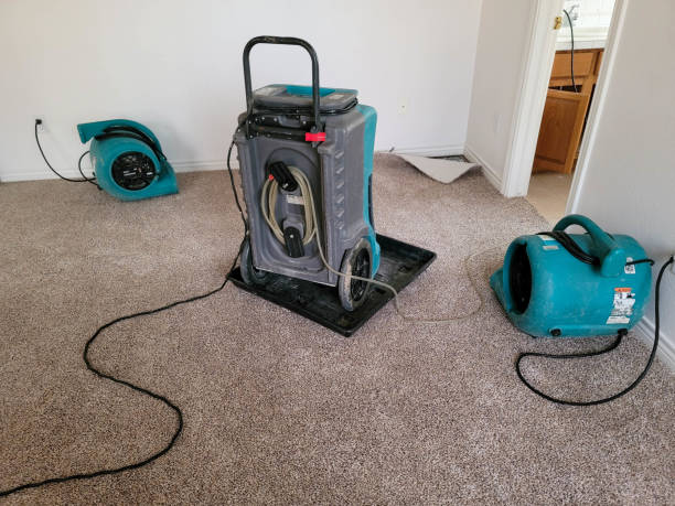Best Water damage restoration specialists  in Fris, CO