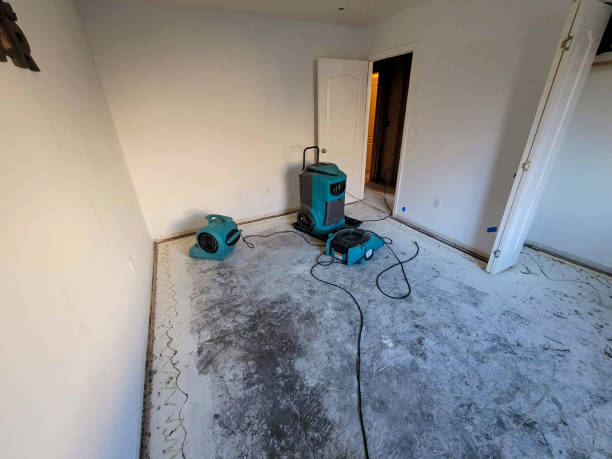 Best Flooded house restoration  in Fris, CO