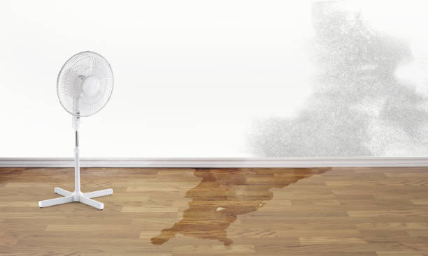 Best 24-hour water damage restoration  in Fris, CO