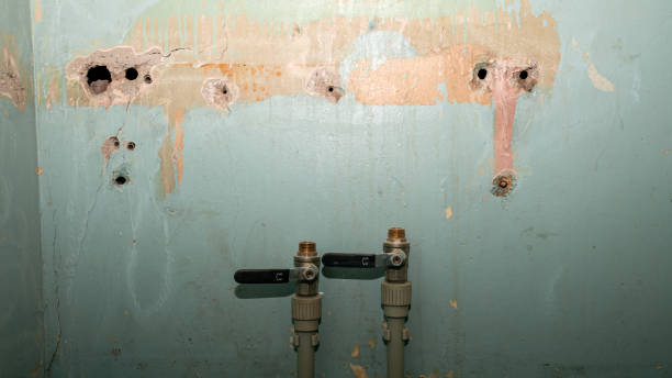  Fris, CO Water damage restoration Pros