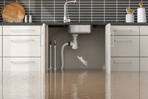 Best Water damage contractors near me  in Fris, CO