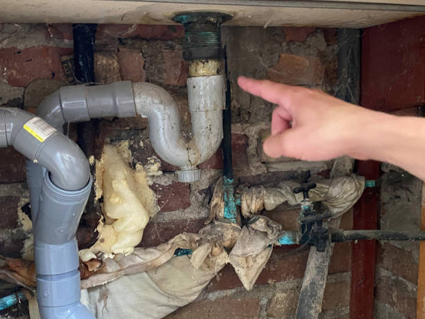 Best Water damage restoration cost  in Fris, CO
