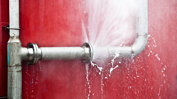 Best Water damage restoration near me  in Fris, CO